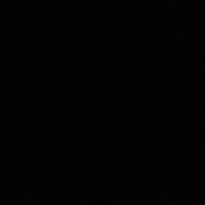 Meet your Posher, Yareli